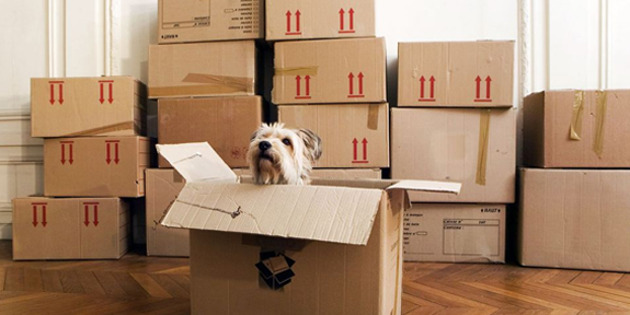 Why Hire Professional Packing Services in Hampstead NH?