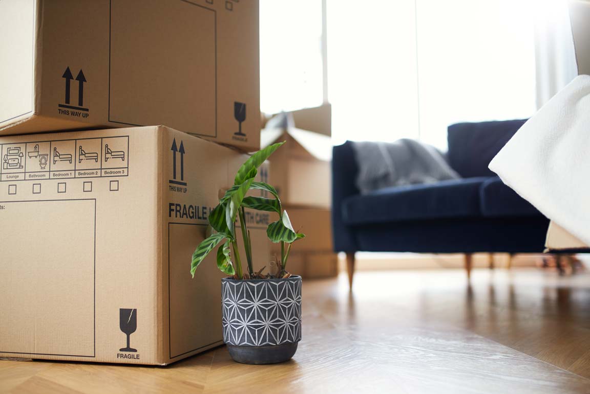 Image of packed up boxes in an apartment. Trend Moving and Storage provides apartment moving services in Manchester NH