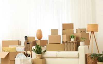 What to Look for When Choosing a Moving Company in Naples, FL